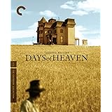 Days of Heaven (The Criterion Collection) [4K UHD]
