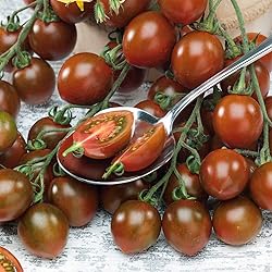 Tomato Seeds - Chocolate Sprinkles - Packet