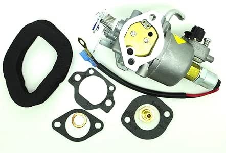 Amazon.com: ConPus Carburetor For Onan Cummins A041D736, Microquiet