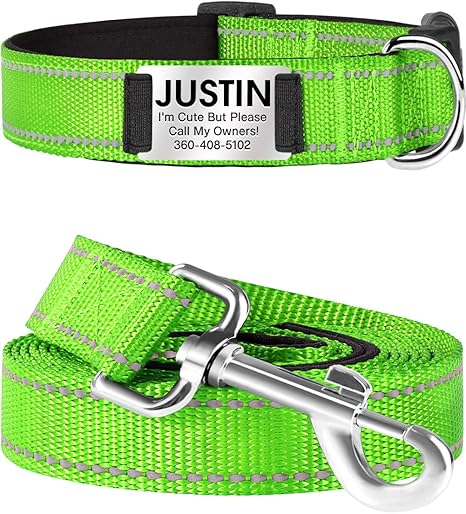 plastic dog collars with name plates