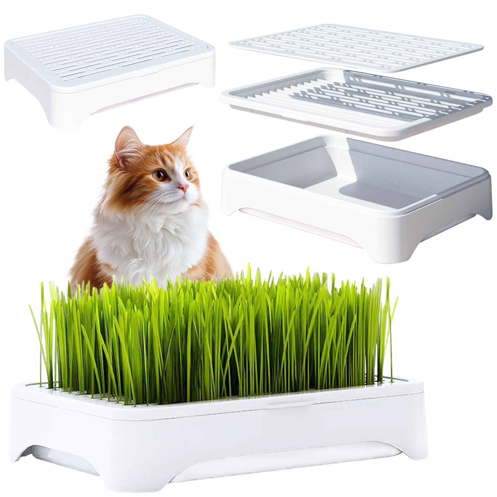 Photo 1 of YjiaYjiaY 2-Pack Cat Grass Planter (No Seeds Included), Tri-Section Design, Anti-Pull Out Cat Grass Seed Starter Tray, Sprouts Growing Kit, Microgreens Growing Trays