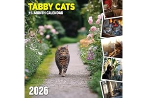 Tabby Cats 2026 Calendar: Cozy striped companions captured in everyday moments