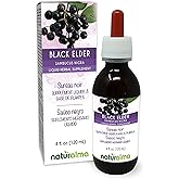 Naturalma Black Elder (Sambucus nigra) Flower (Elderflower) and Fruit (Elderberry) Alcohol-Free Tincture - 4 fl oz Liquid Extract in Drops - Herbal Supplement - Vegan