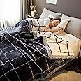 LGYKUMEG 9lb Korean Style Mink Blanket Queen Size 79"X 91",2Ply Raschel Flannel Fleece Blanket,Soft and Warm, Thick,for Autumns,Winter,Bed,Home,Gifts,(200x230cm4kg)