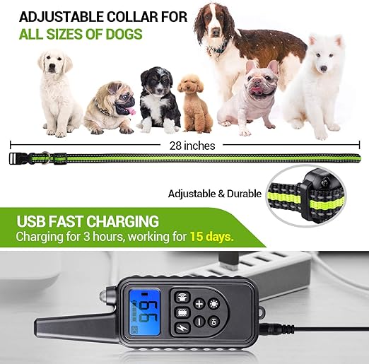 shock collar for st bernard