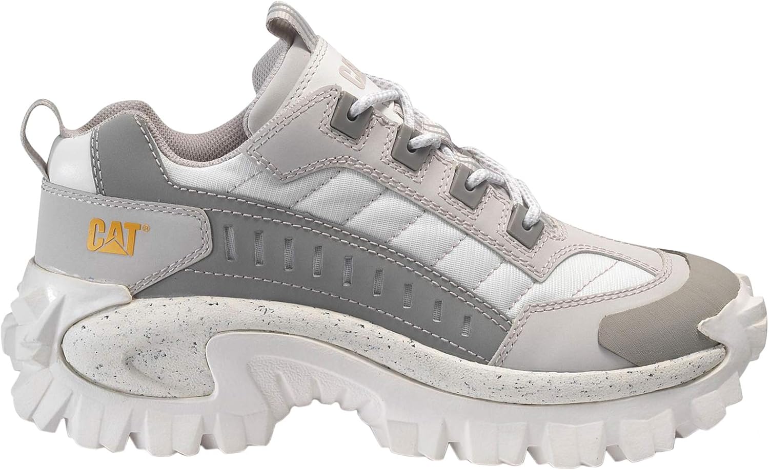 cat intruder pirate black