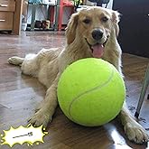 Banfeng Dog Tennis Ball, 9.5" Giant Sport Gift Toy Herding Ball for Dogs | Puppy Birthday Gift ,Interactive Toy,Outdoor Pet Toys to Keep Them Busy,Big Tennis Ball for Small Medium Large Dog