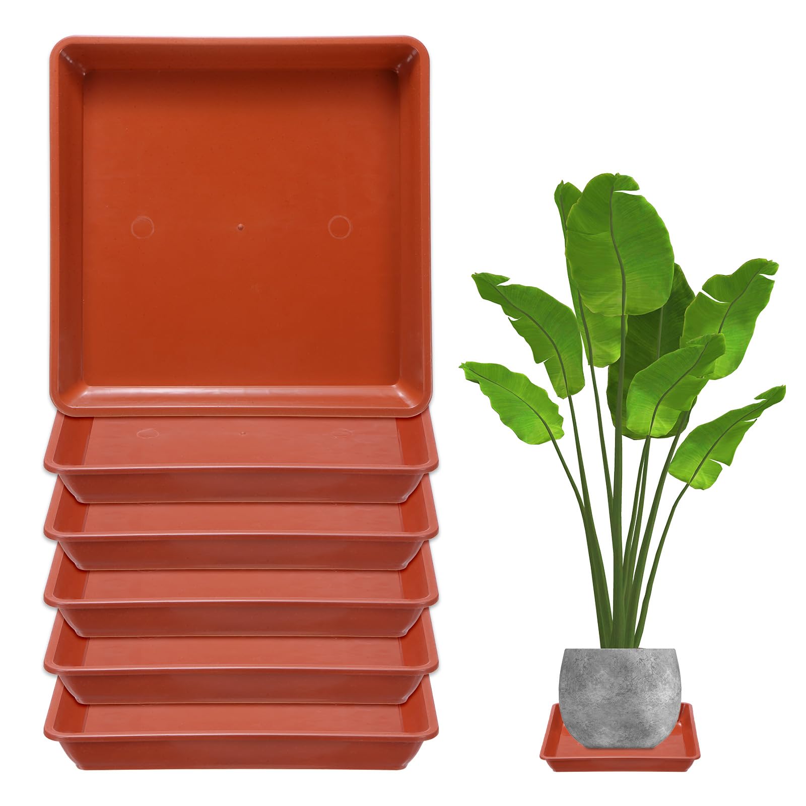 M METERXITY 6-Pack Plant Pot Saucers, 7 Inch 18cm Plastic Square Flower Drip Tray, Pot No Holes Durable Plant Trays for Pots Base Indoors/Outdoors Plants [Brick Red]