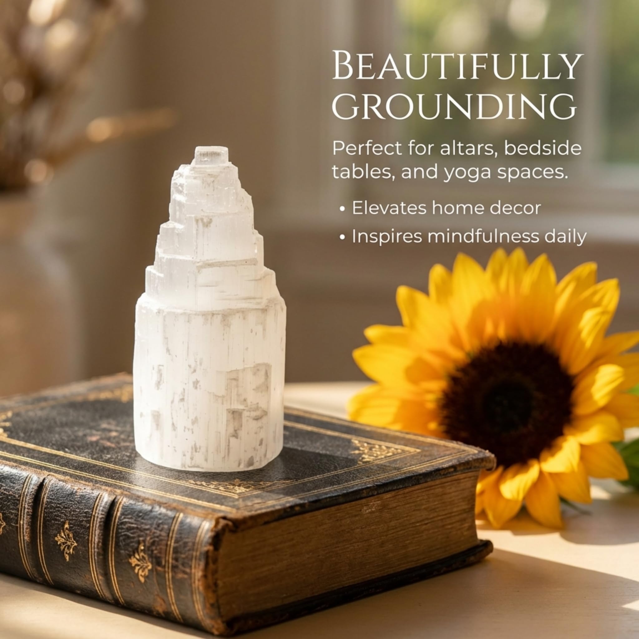 View 5
