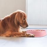 SUOXU Slow Feeder Dog Bowl Non Slip Puzzle Bowl for Small Medium Dogs view 7