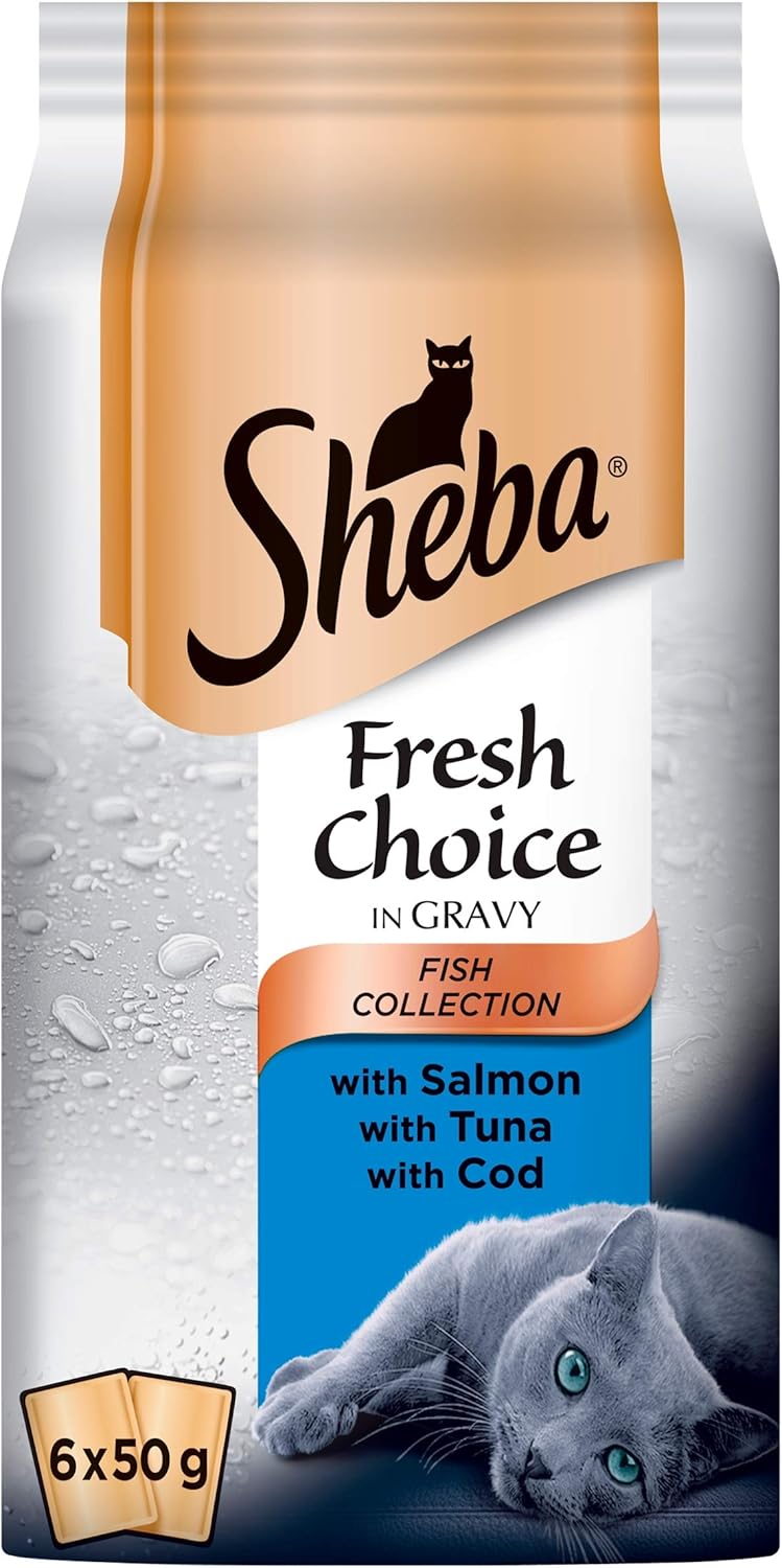 sheba cat food amazon
