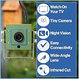 Green Feathers 700TVL Bird Box Camera Outdoor Night Vision 940nm Infrared 20m view 3