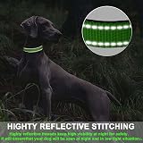 ATETEO Reflective Padded Dog Collar Medium 13-19.7 in Fluorescent Green view 5