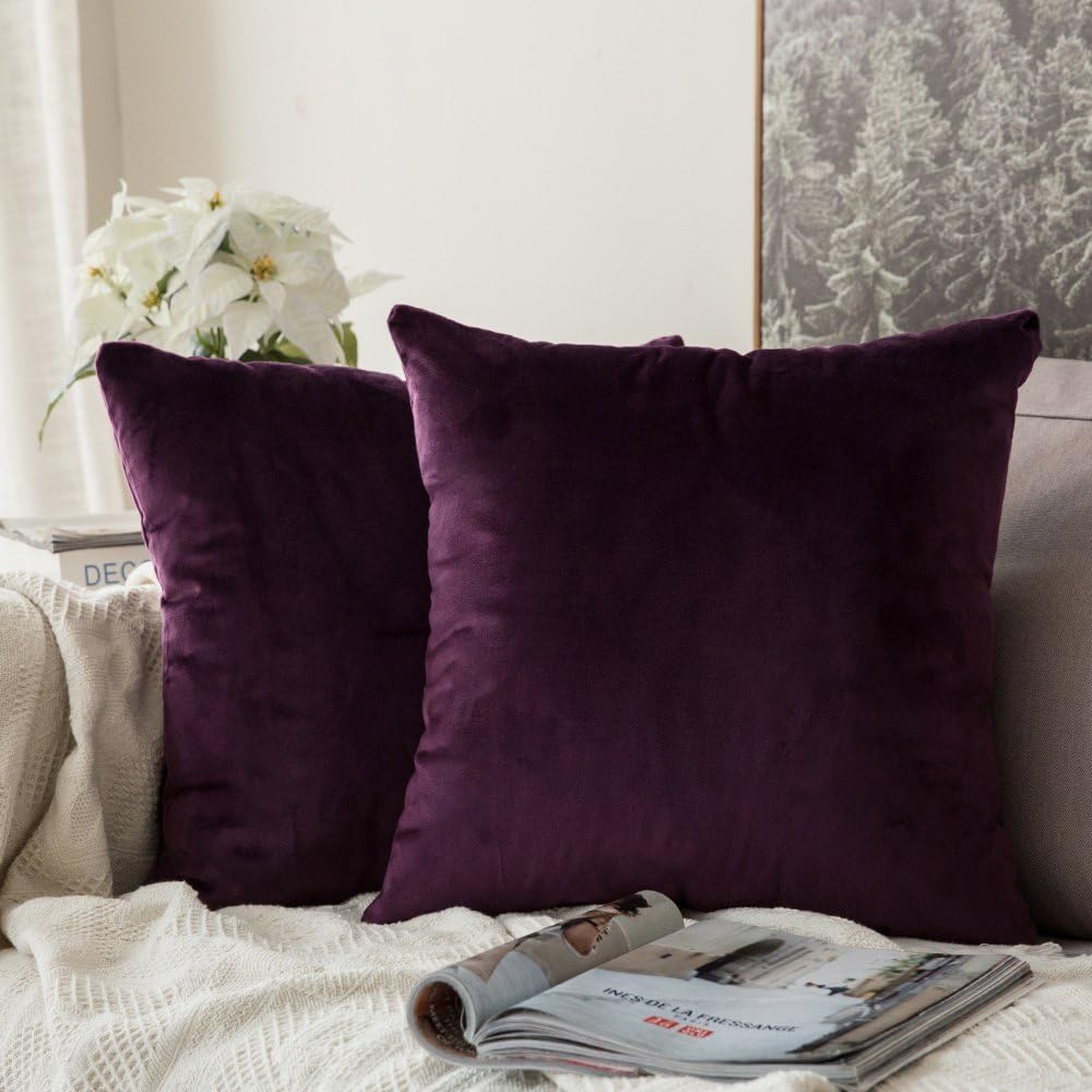 MIULEE Pack of 2 Velvet Soft Decorative Square Throw Pillow Case Cushion Covers Luxury Pillowcases for Livingroom Sofa Bedroom with Invisible Zipper 50 x 50cm 20x20 Inches Aubergine