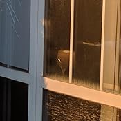 One-Way Perforated Vinyl Privacy Window Film Adhesive Glass Wrap Roll ...