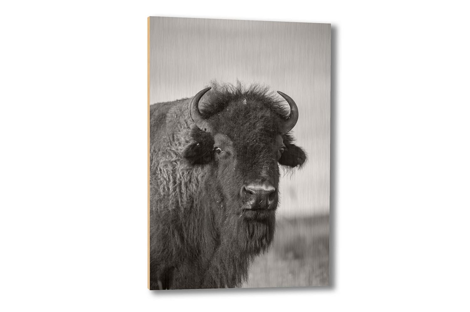 Amazon Com Buffalo Wall Art Wood Print Of Bison On Tallgrass Prairie In Oklahoma In Black And White Wildlife Animal Photo Decor 5x7 To 30x40 Handmade