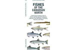 Fishes of the Canadian North