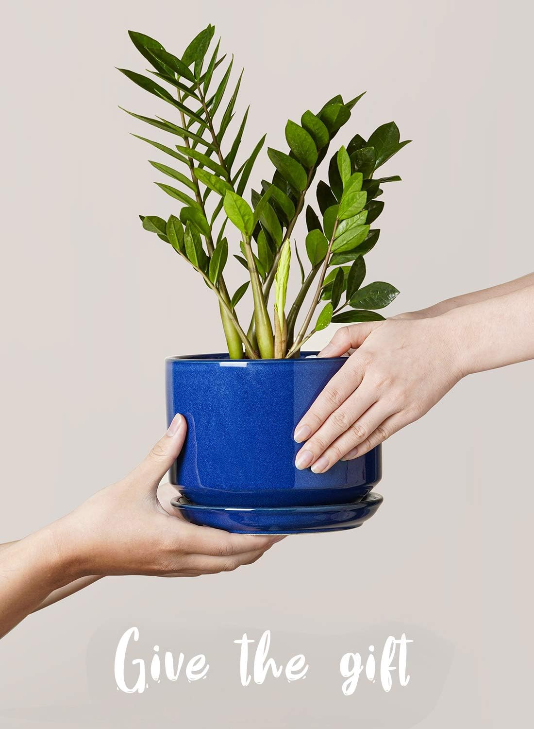 LE TAUCI Plant Pots 4.5" & 5.3" & 6.5" Flower Pot with Drainage Holes and Saucers, Ceramic Pots with Tray, Outdoor Garden Planters, with Mesh Pads, Set of 3, Sapphire Blue: Garden & Outdoor