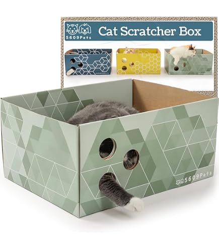 Conlun Cat Scratcher Box & Pad Set - Heavy-Duty Double-Sided Cardboard, Interactive Hole, 5-Pack Refills