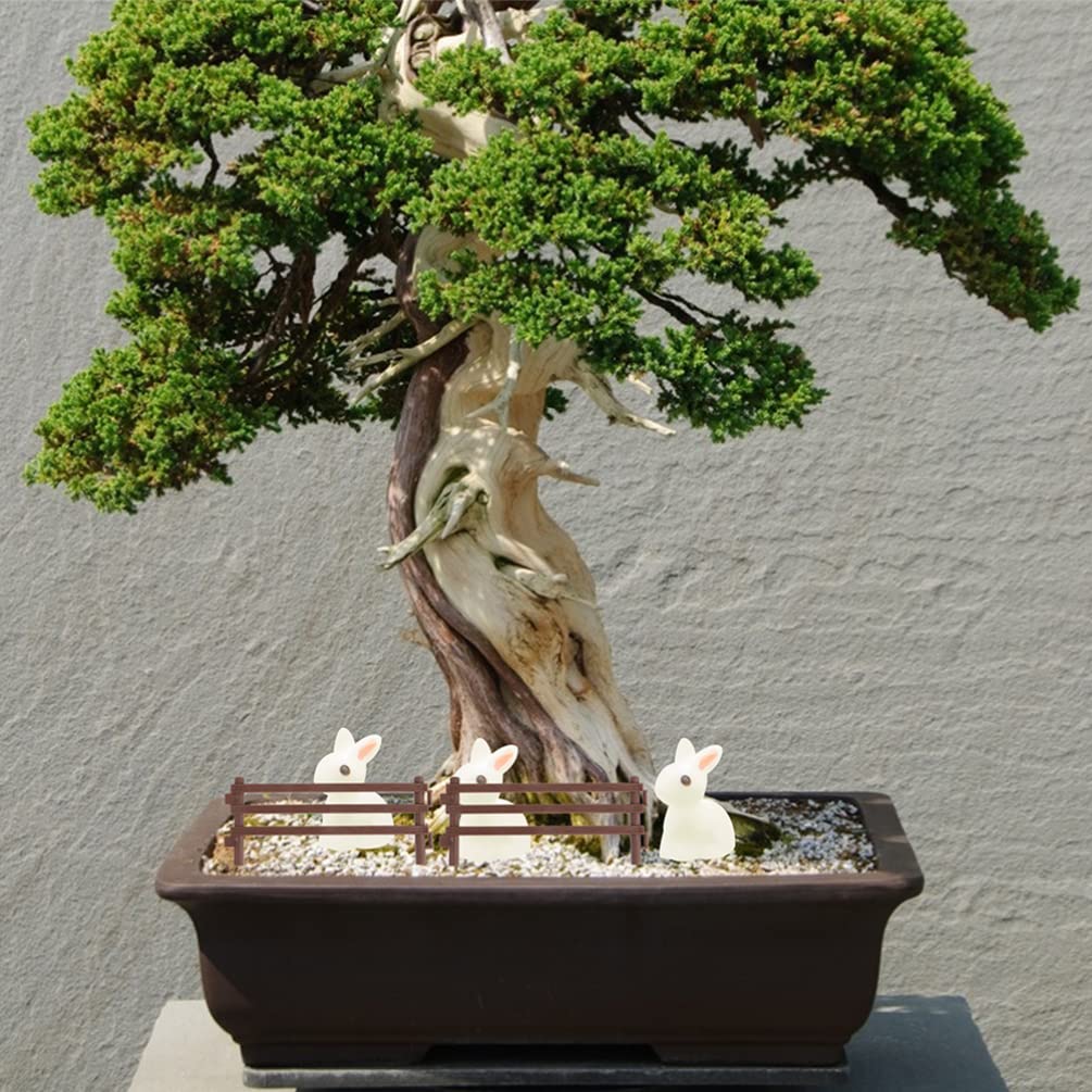 View 6