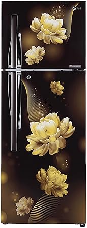 LG 284 L 2 Star Smart Inverter Frost-Free Double Door Refrigerator (GL-T302RHCY, Hazel Charm, Convertible)