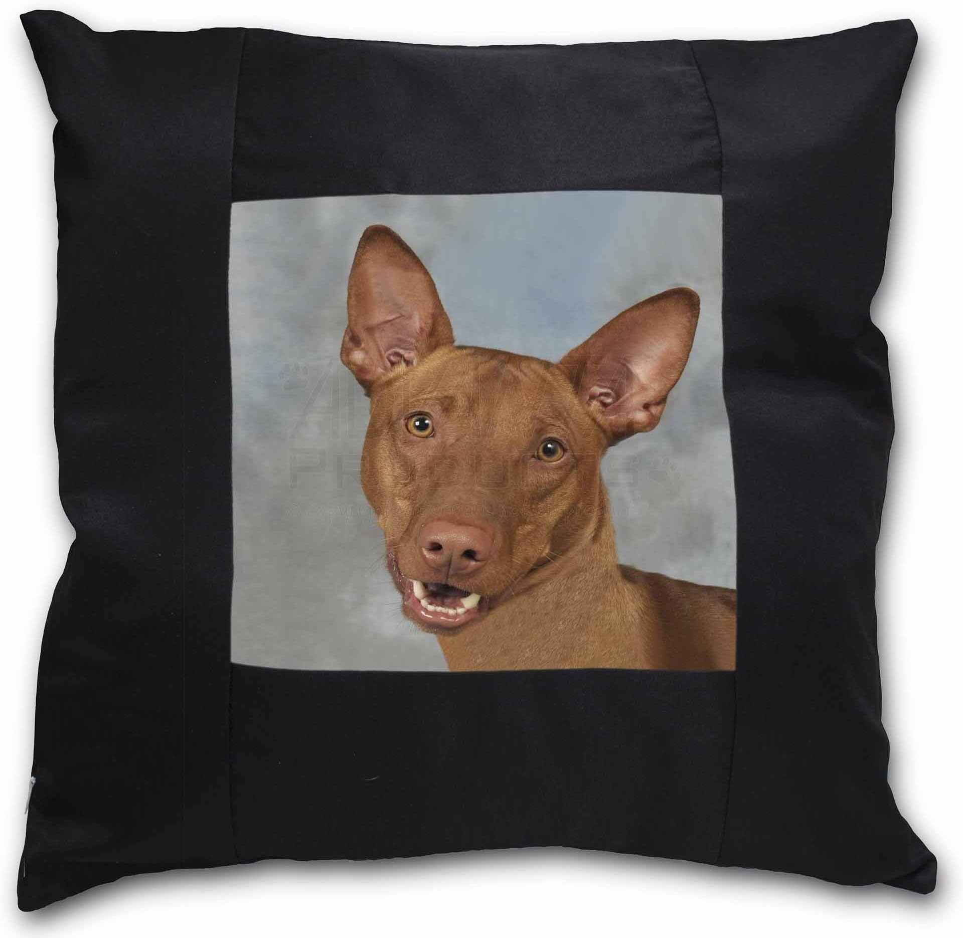 Advanta Group Pharaoh Hound Dog Black Border Satin Feel Cushion Cover With Pillow Insert