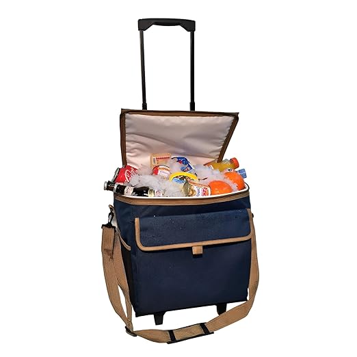 Nevera con ruedas plegable 30 litros: Amazon.es: Jardín