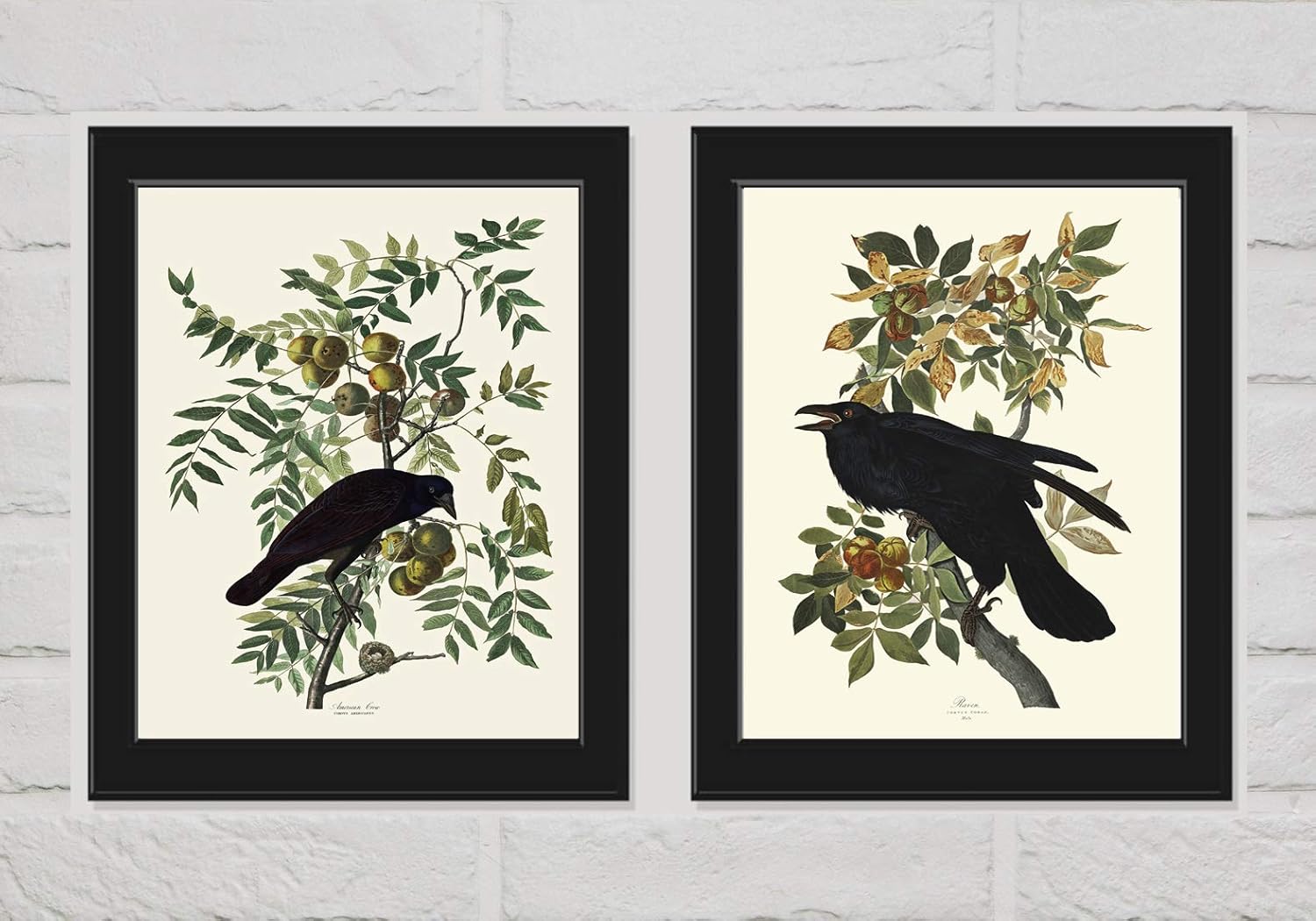 The 9 Best Ravens Home Decor