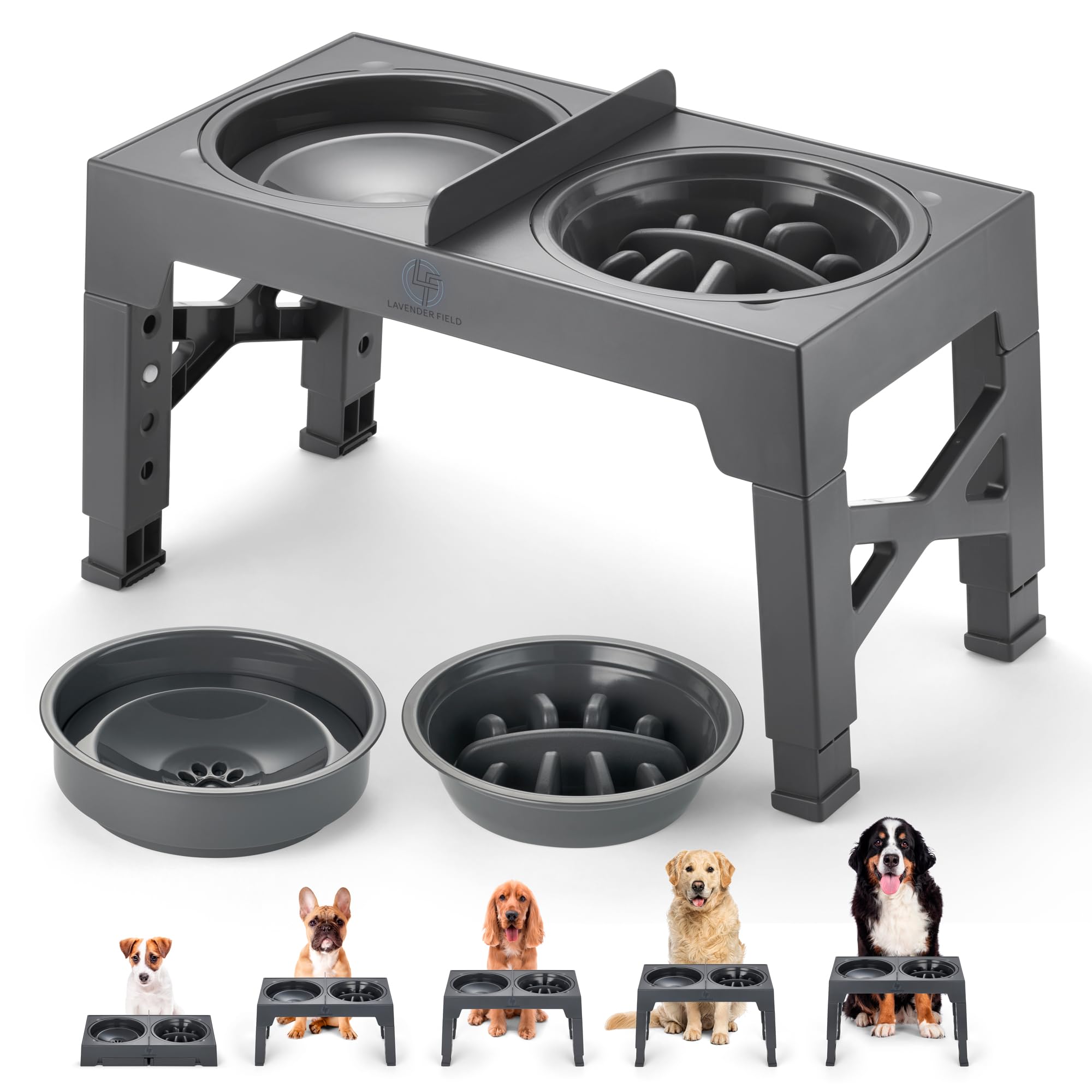 Raised Dog Bowls with Stand, Dog Feeding Station, Non-Spill and Slow Feeder bowls with Divider
