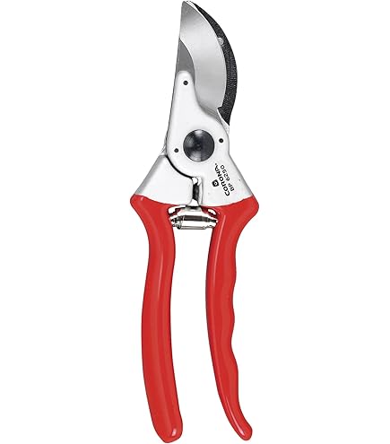 Amazon.com : Zenport QZ402 Classic Professional Pruner, 1