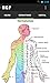 Medical Doctor: Reference Tool