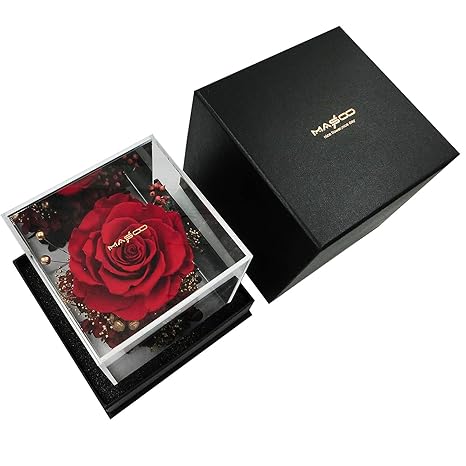 wife birthday gift ideas amazon india