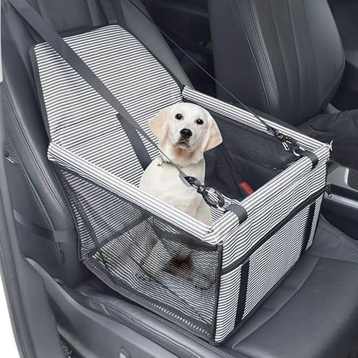 best small dog car seat