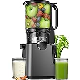 YPONE Juicer Machines 2-in-1 Cold Press Juicer Easy to Clean Titanium gray | Making Juice, Nut Milk, 5.8" Large Chute , 400W Power Reverse Function With Pusher