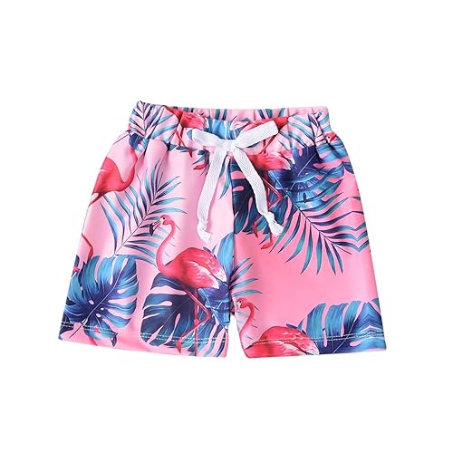 Baby Swim Trunks, Toddler Infant Swimsuit Flamingo Bathing Suit