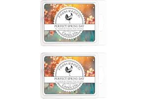 Spring Day - Floral Scented Wax Warmer Melts - 2 Pack Combo - 100% All American Made - by Farm Raised Candles - Natural American Farmed Soy Wax