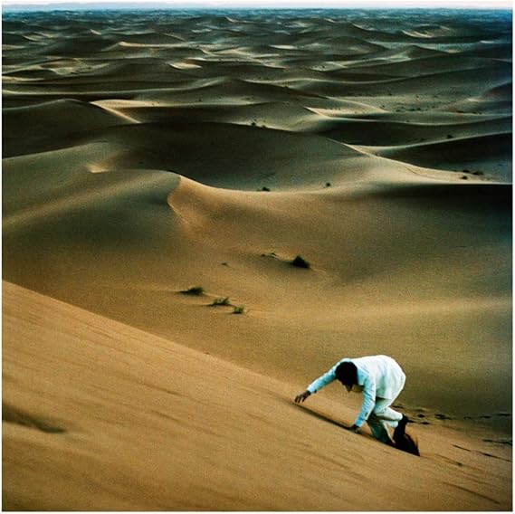 Prince of Tears [VINYL] Baxter Dury, Baxter Dury
