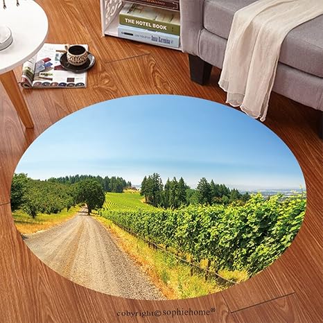Amazon.com: Sophiehome Soft Carpet 444438013 Gravel road passing