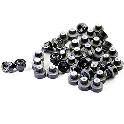 RTRHINOTUNING 50pcs Wheel Rim Lip Rivets Nuts of