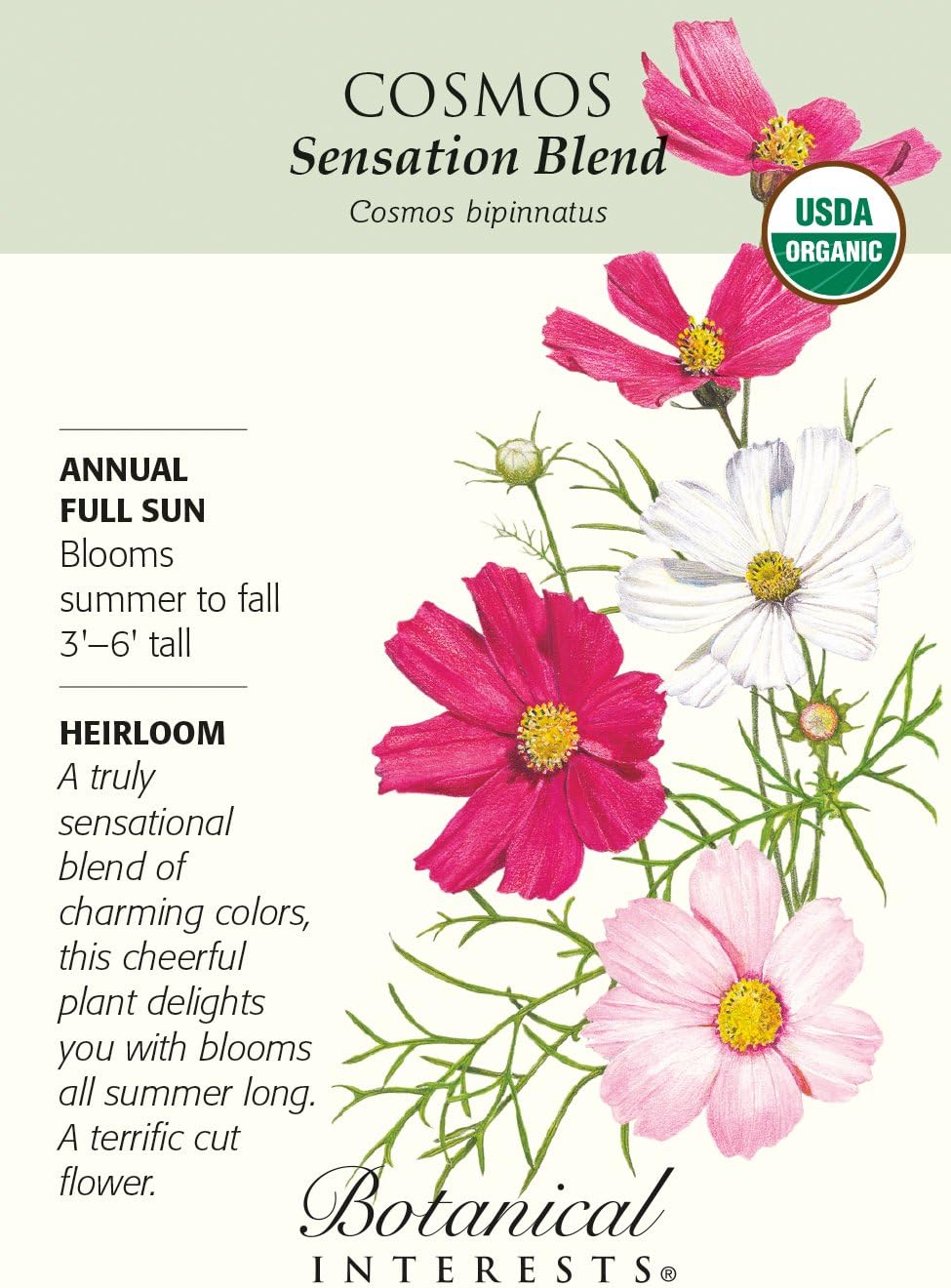 Organic Sensation Blend Cosmos Seeds - 1 gram