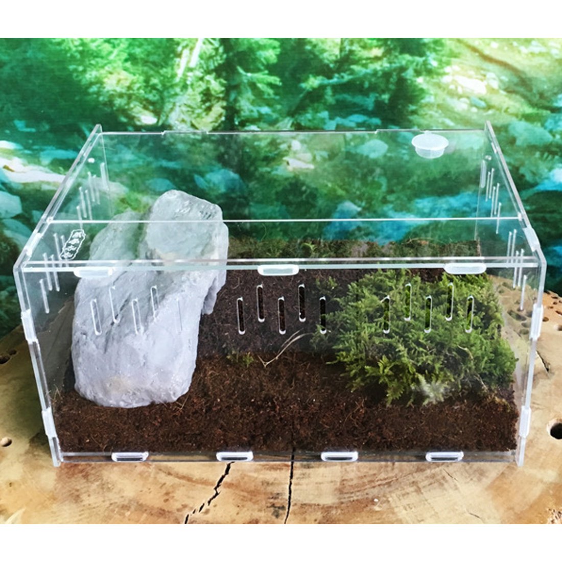 Petforu Aquarium Breeding Tank Acrylic Reptile Feeding Box with Temperature Hygrometer (Small