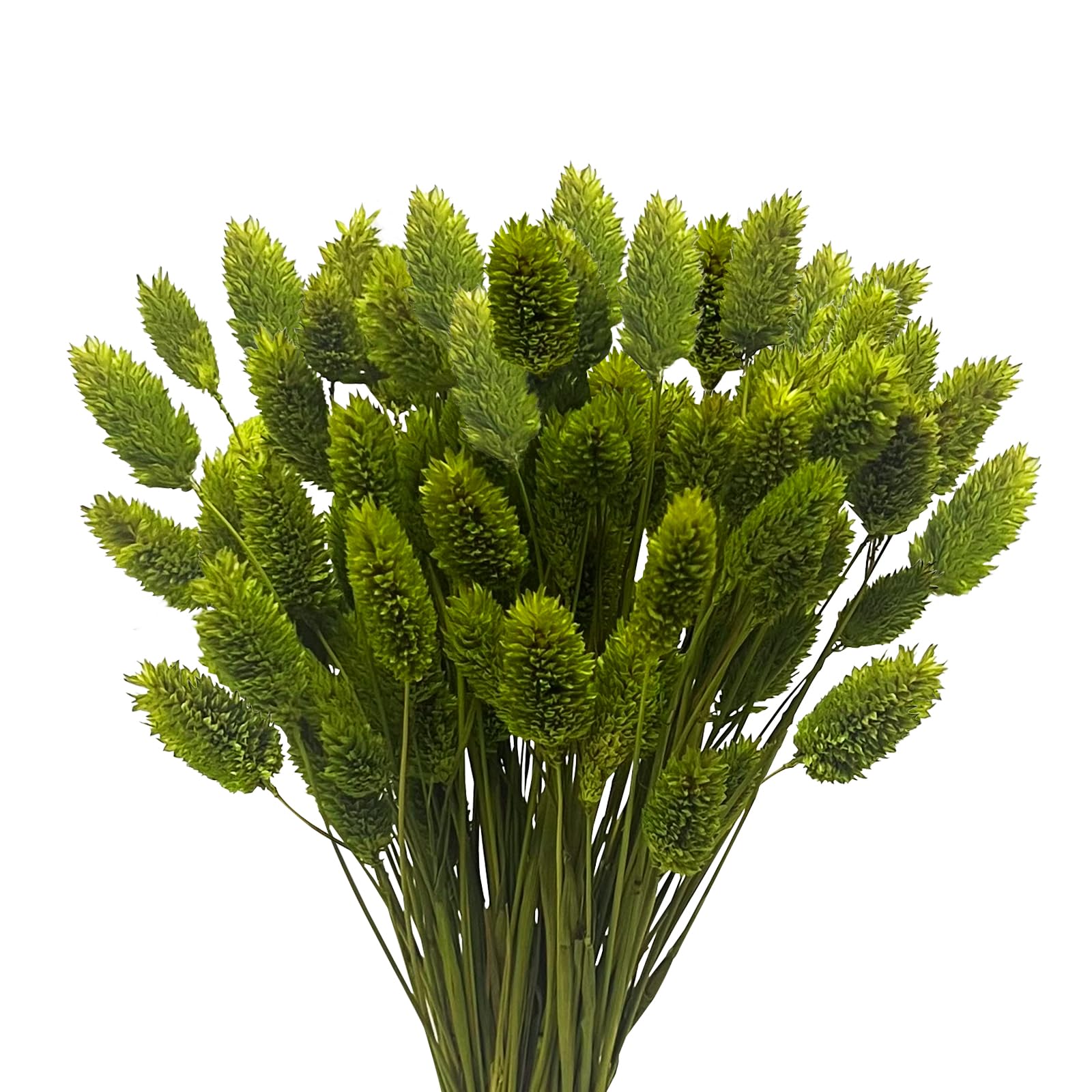 Photo 1 of 120 PCS Boho Pampas Grass, 17" Bunny Tails Gem Grass Flower Bouquet Christmas Decor for Home Wedding Farmhouse (Green)