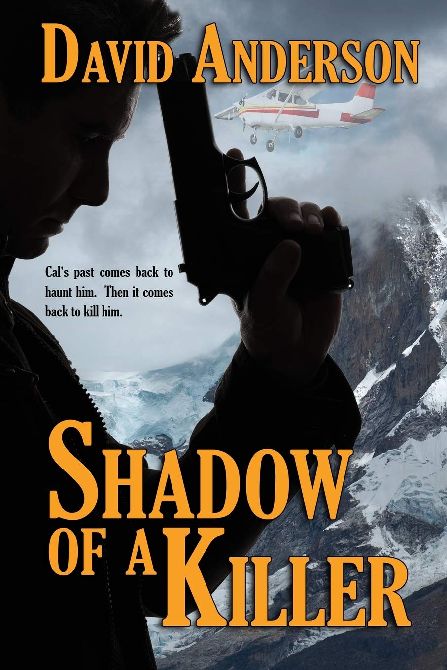 Amazon Com Shadow Of A Killer 9780228603511 Anderson David Books