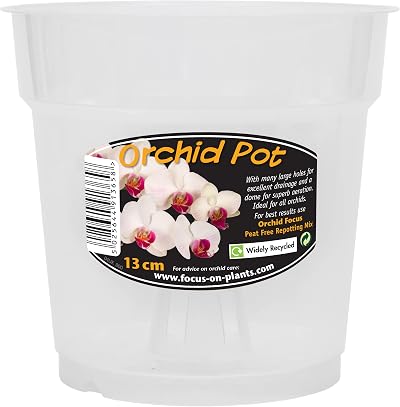 Growth Technology Clear Orchid Pot 13cm Green