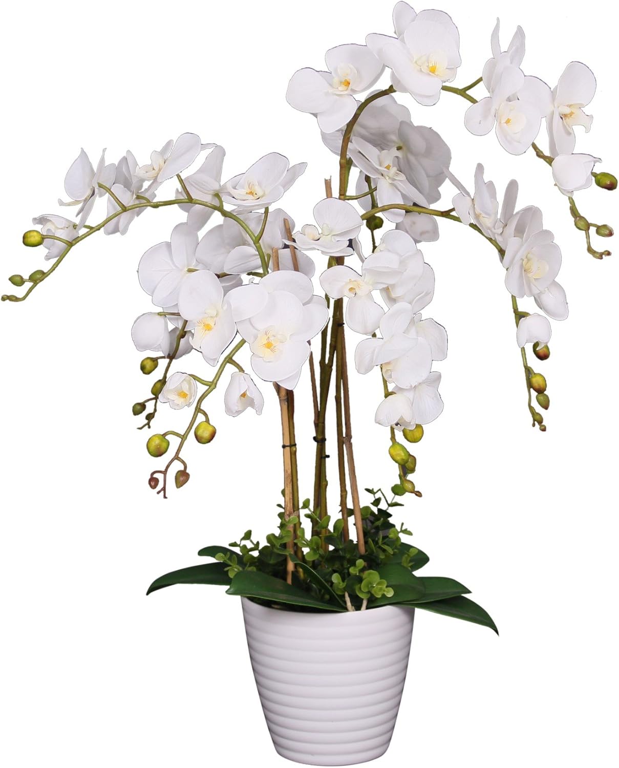 Amazon Com Amerique Unique And Gorgeous Phalaenopsis Orchid Artificial Plant Silk Flowers With Real Touch Leaves With Nursery Pot 2 5 White Home Kitchen