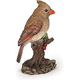 Hi-Line Gift Various Bird on Stump Statues (Female Cardinal, Multi Colors (87758-O)