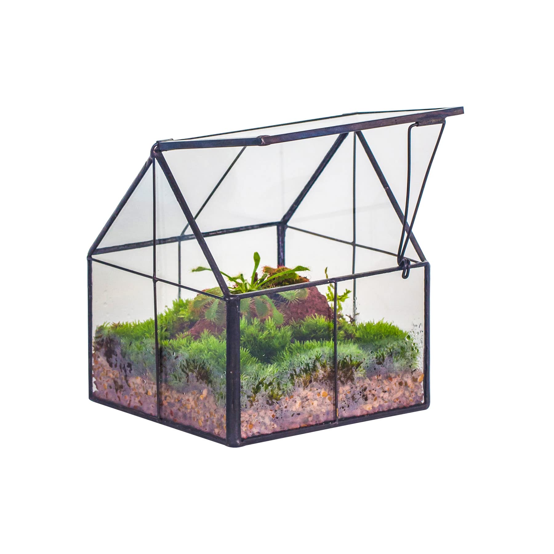 NCYP Mini Glass Geometric Plant Terrarium with Lid - 10.8x10.8x12.5 cm - Black Close Planter Pot for Small Succulents Air Plants - Handmade, Home Garden Office Tabletop Decor (Terrarium Only)