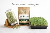 Natures Root Organic Broccoli Sprouting Seeds 250g Non GMO Microgreen view 7