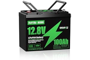 DATOUBOSS 12V 100AH LiFePO4 Battery Group 24, 15000+ Deep Cycle Mini 12V Lithium Battery, Built-in 100A BMS with Low-Temp Pro