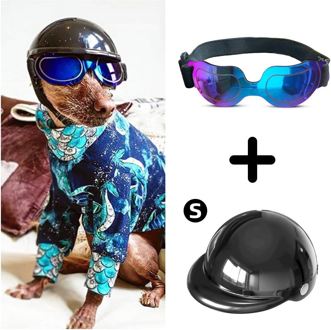 small dog helmet and goggles